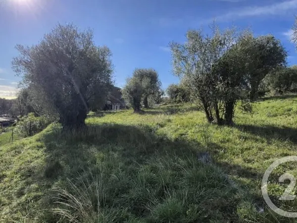 Terrain 1002 m²