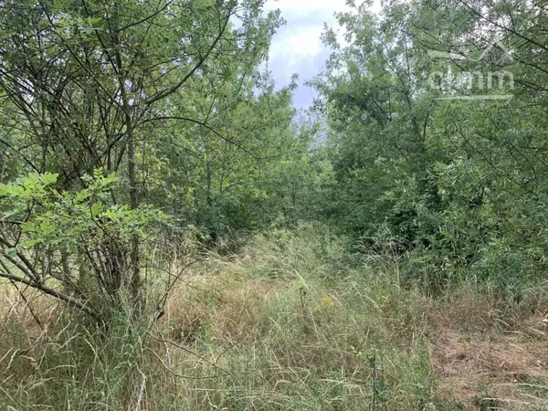 À vendre terrain de 44 000 m² en bordure de rivière