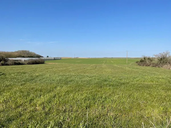 AUZAY (85200) 5 MIN FONTENAY LE COMTE CADRE CAMPAGNE SUPERBE TERRAIN A BATIR 4300M² HORS LOTISSEMENT
