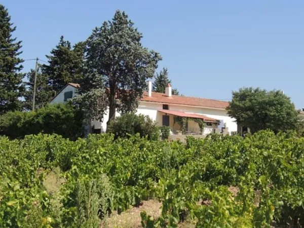 AUX PORTES D'AVIGNON DOMAINE DE 24.50 HA SUR UN TERROIR QUAL