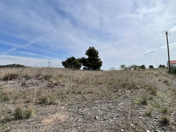 Terrain - 309