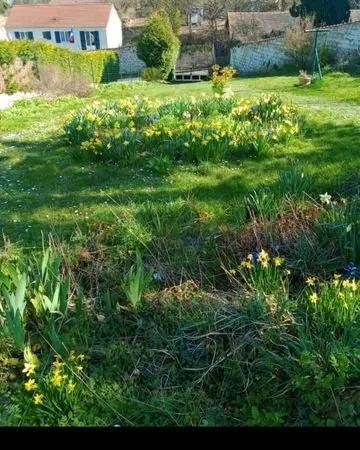 Terrain constructible