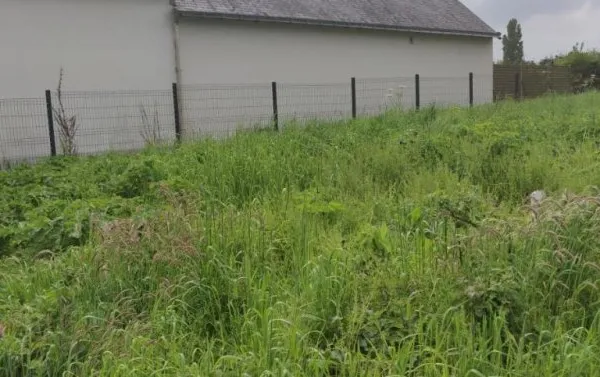 Terrain 1143 m²