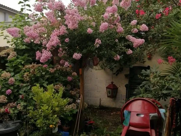 Échoppe en pierre de Bordeaux