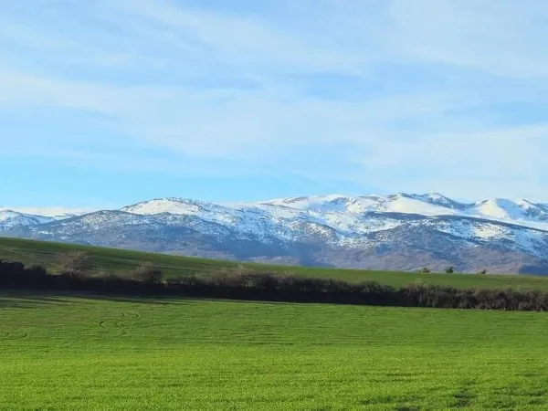Err - Terrain à bâtir