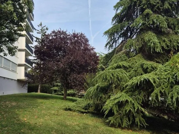 Appartement 3 pièces 50 m²