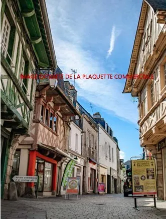 Achat : Maison Pontivy (56300)