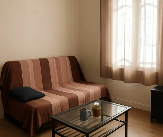 Appartement Toulouse 1 pièce(s)