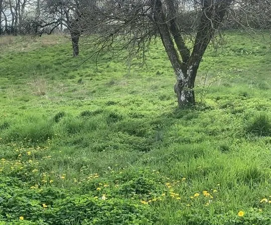 Terrain - 3000m ²
