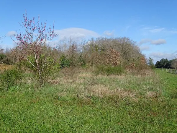 Terrain Saint Médard De Mussidan 2745 m2