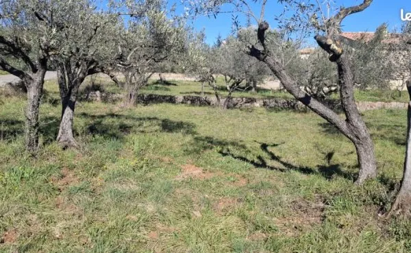 Terrain constructible