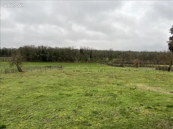 Terrain 4 155 m² Lalbenque