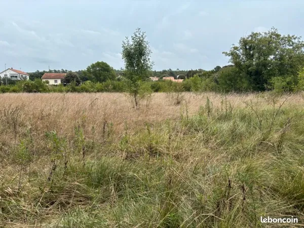 Terrain agricole