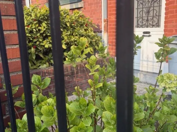 Maison Lambersartoise 4 chambres et jardin
