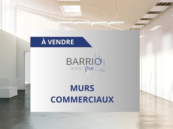 Immobilier Professionnel à vendre Saint-Cyprien