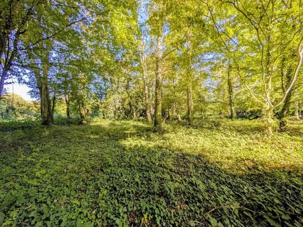 Terrain 1513 m²