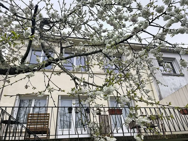 NANTES - PROCE/CHEZINE - MAISON 4 CHAMBRES , BUREAU, STUDIO, GARAGE, JARDIN