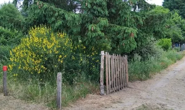 Terrain de loisirs Les Bordes