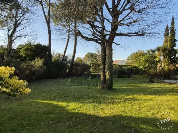 Terrain 684 m²