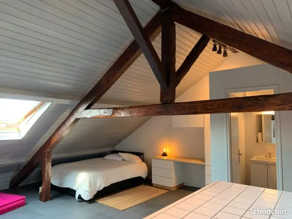 Grand studio centre de Pau rue Castetnau