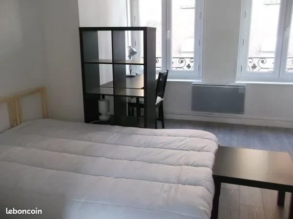 Lumineux T1 meublé Secteur Fac de droit 30m²