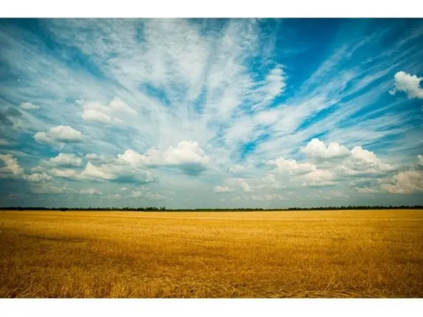 Terrain 629 m²