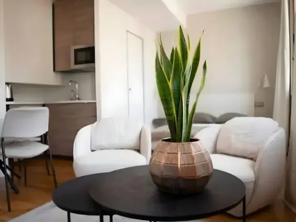 Studio 1 pièce 21 m²