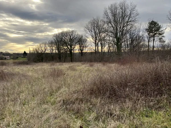 Terrain en individuel 3600 m²