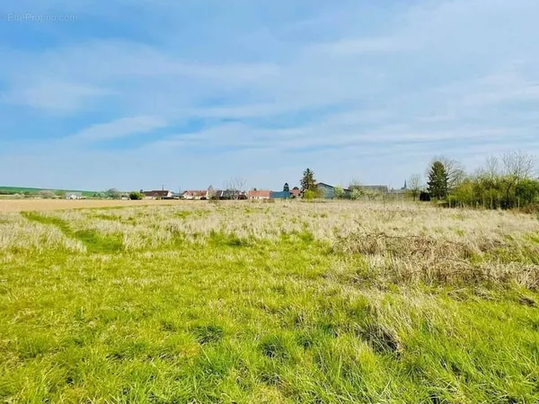 Terrain 926 m²