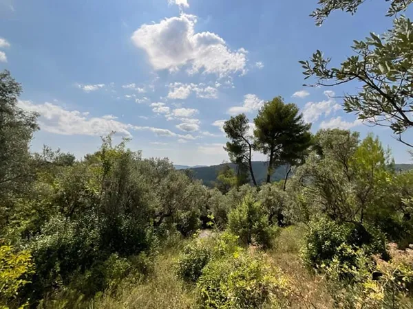 Terrain constructible de 3 015 m² avec vue panoramique à Claviers (83830)