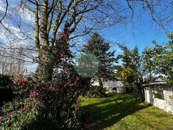 Terrain 270 m²