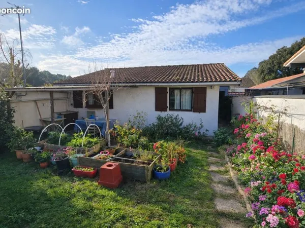Maison de plein-pied avec agréable jardinet
