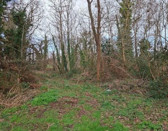 Terrain 6204 m²