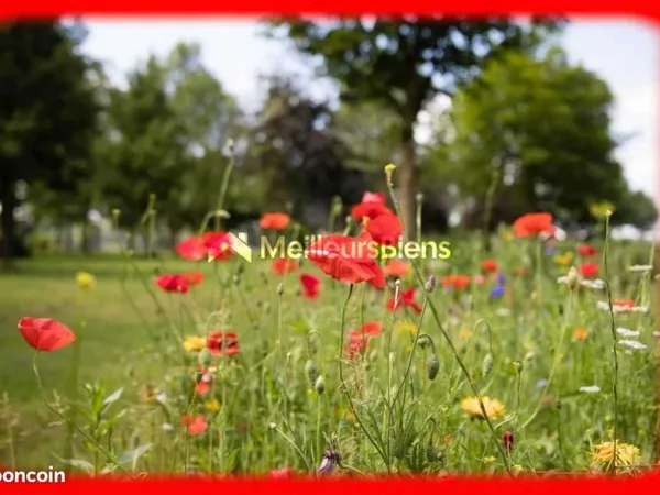Terrain 493 m² Penestin