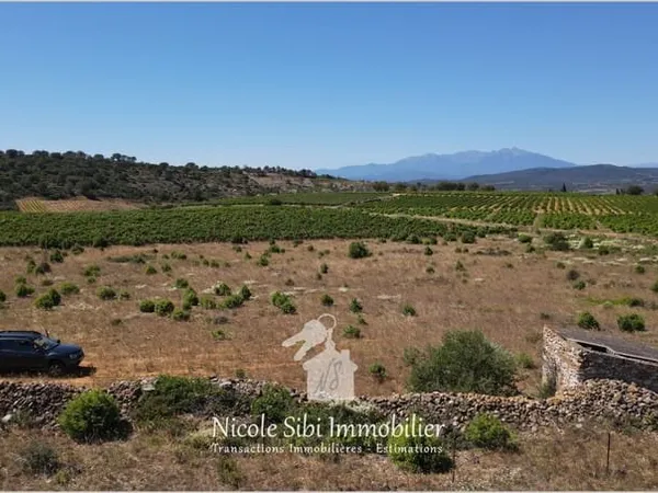 Vente terrain agricole