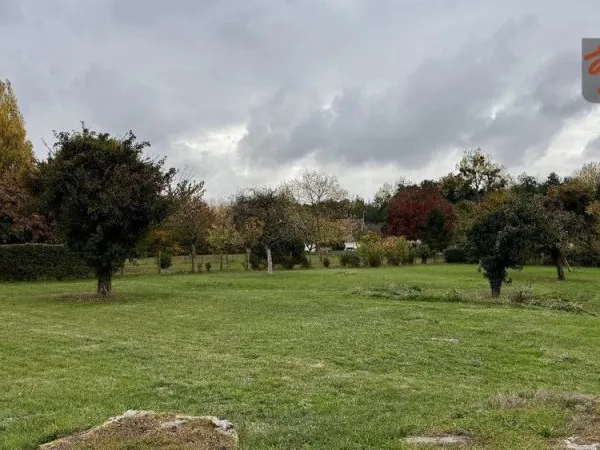 Terrain