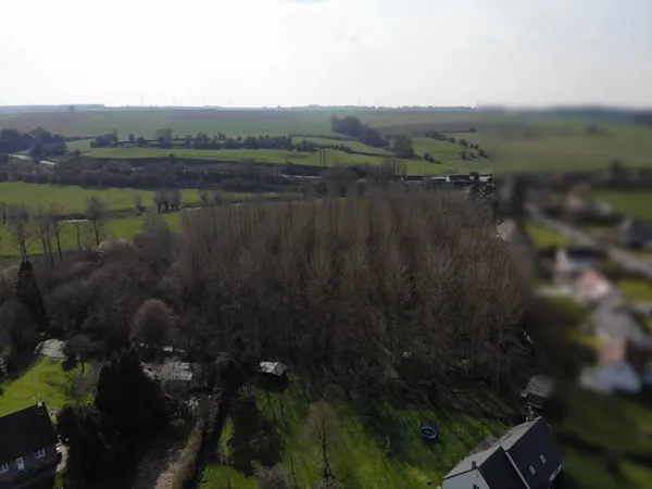 BOIS D'ENVIRON 3 HECTARES A GAUCHIN-VERLOINGT