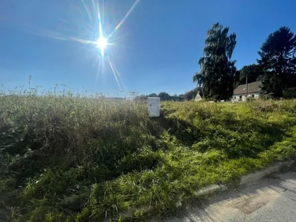 Terrain 5000 m²