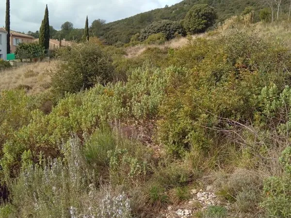 Terrain 750m2