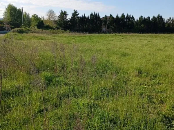 Terrain 559 m²