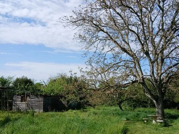 Terrain verger potager