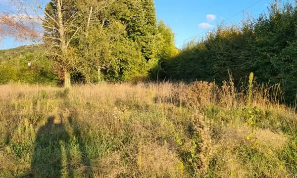 Terrain constructible Jujurieux 534 m2.