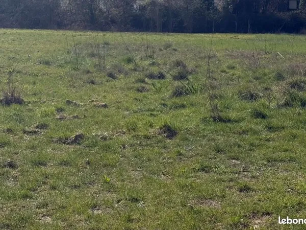 Terrain agricole
