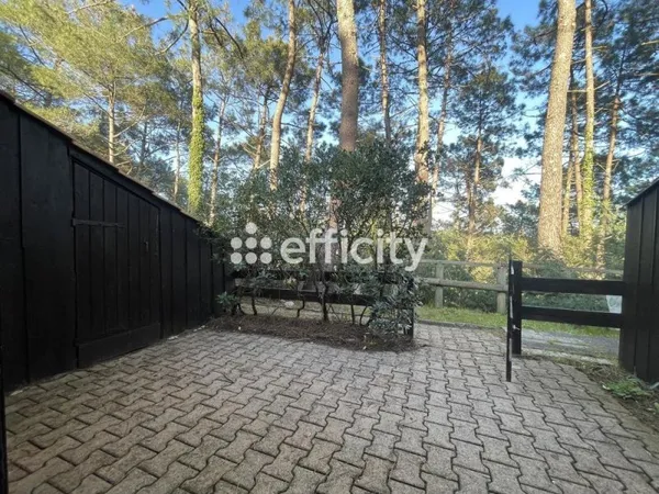 Maison Vente Lacanau 2p 31m² 194500€