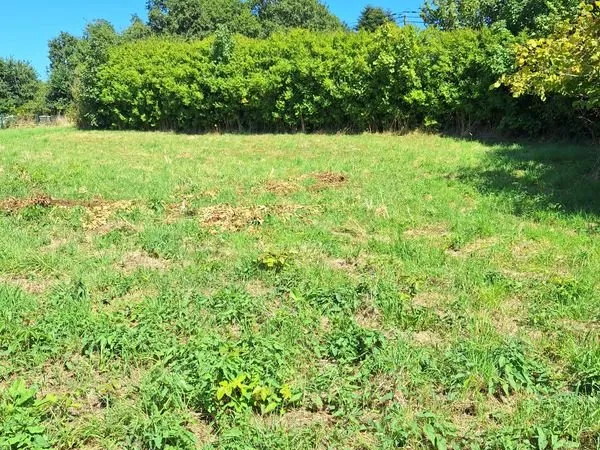 Terrain constructible