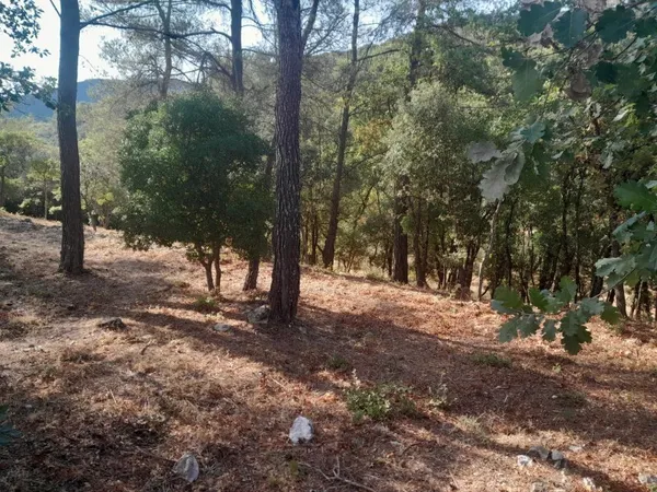 terrain constructible tout à l'égout