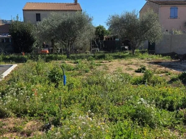 Terrain 325 m²