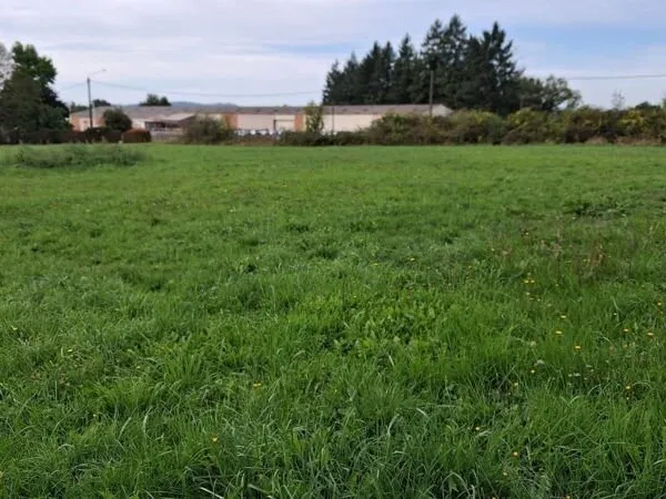 Terrain 1875 m²