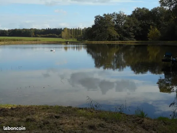 Etang très calme et petite foret sauvage