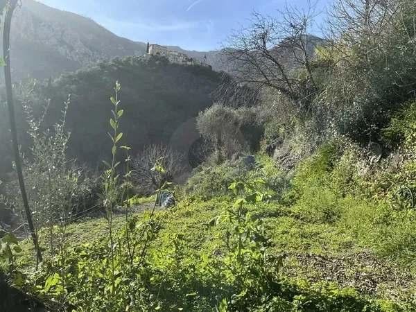 VENTE TERRAIN CONSTRUCTIBLE À GORBIO
